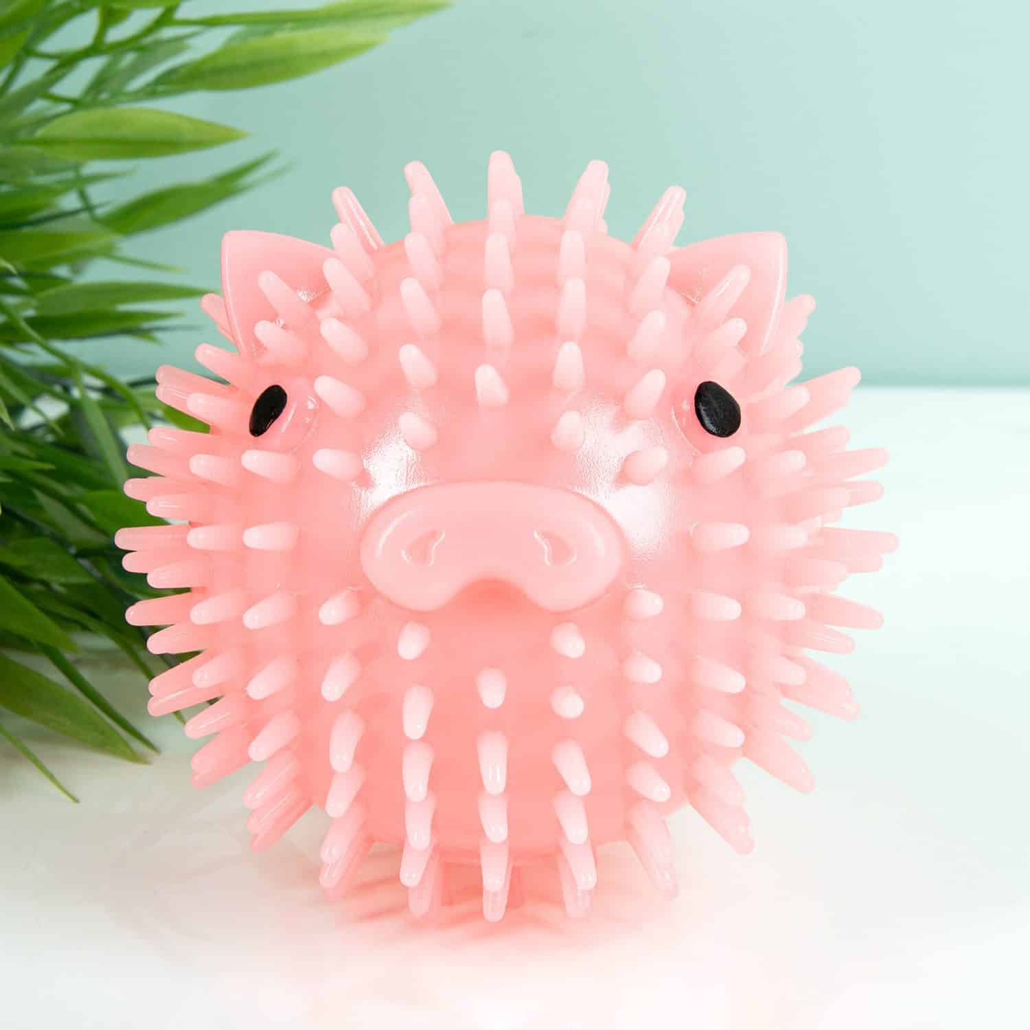 Quietschball für Hunde mit Duft – Schwein