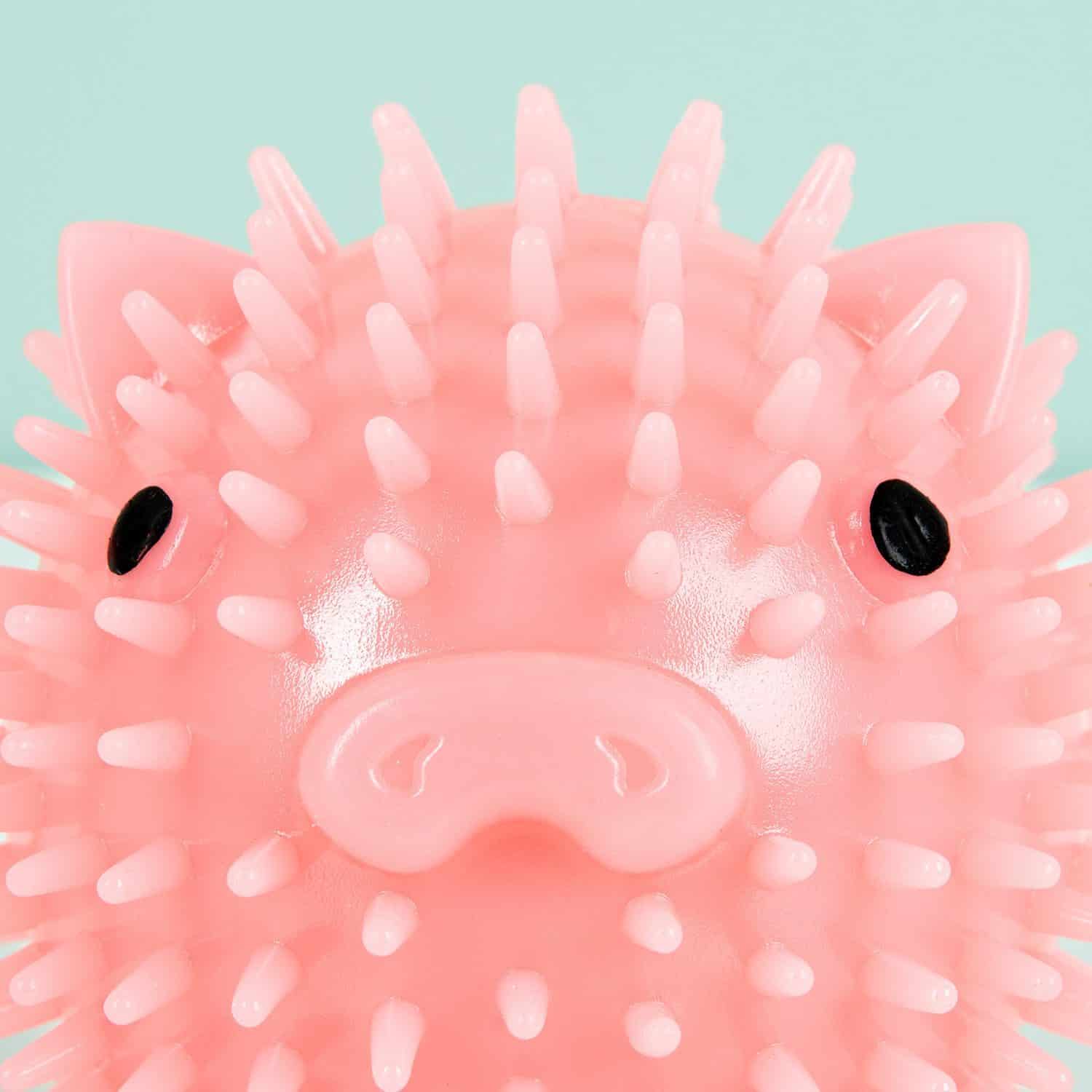 Quietschball für Hunde mit Geruch