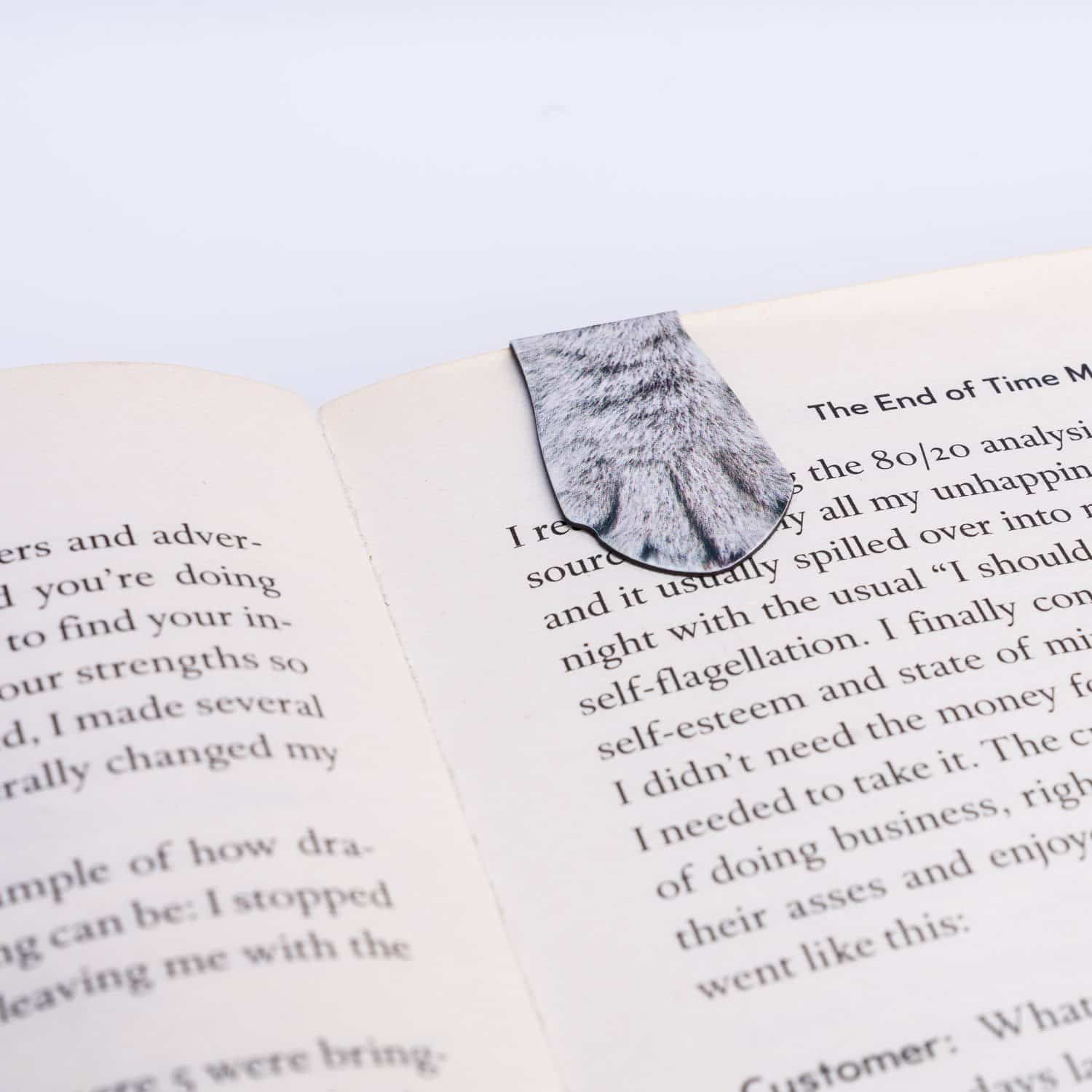 Magnetisches Lesezeichen Katze (4er-Set)