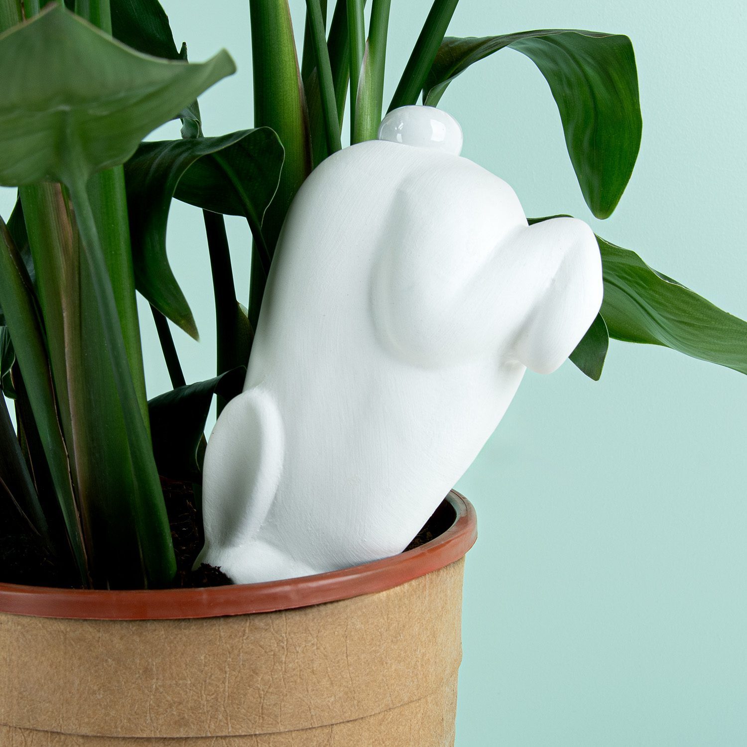 Kaninchen Bewässerungssystem