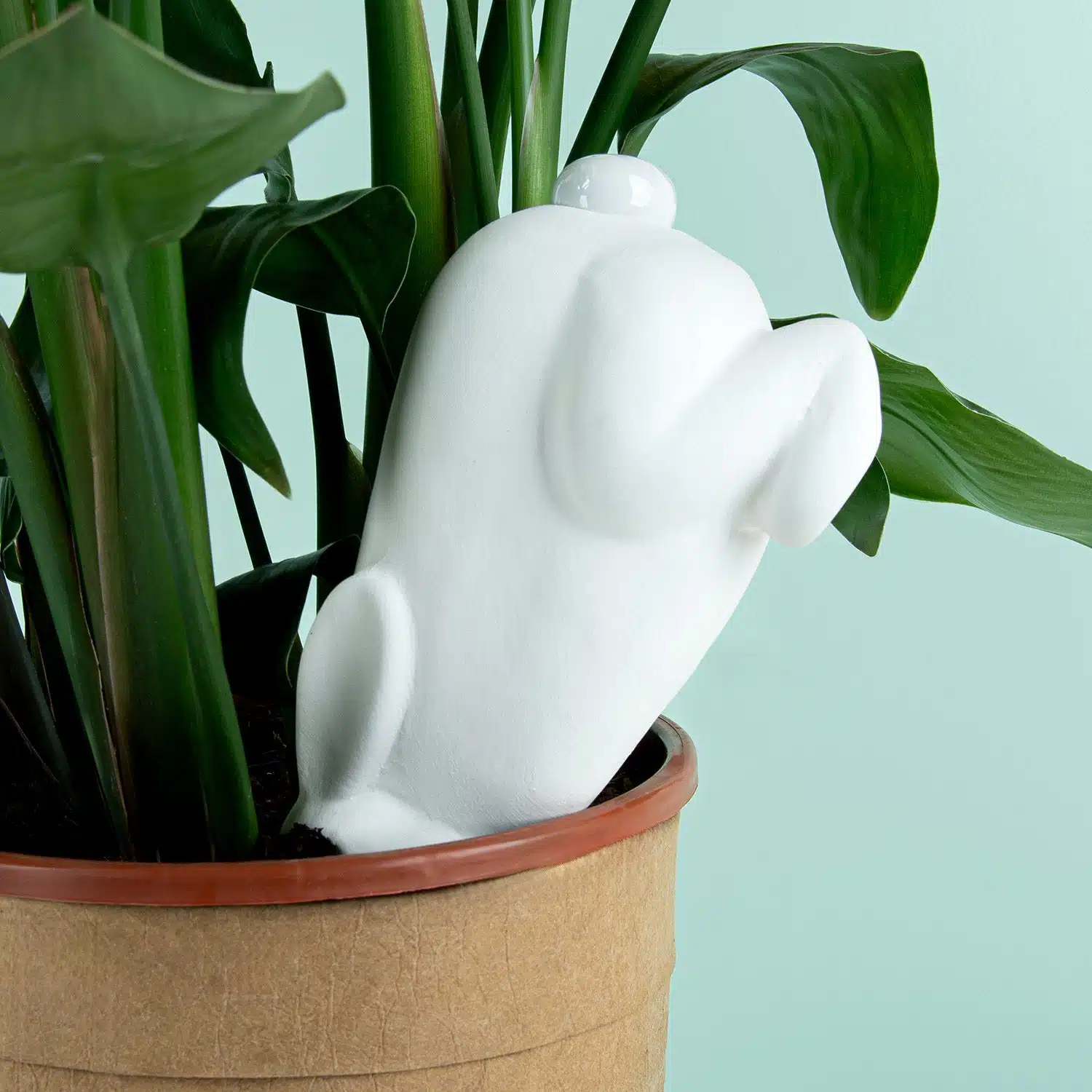 Kaninchen Bewässerungssystem