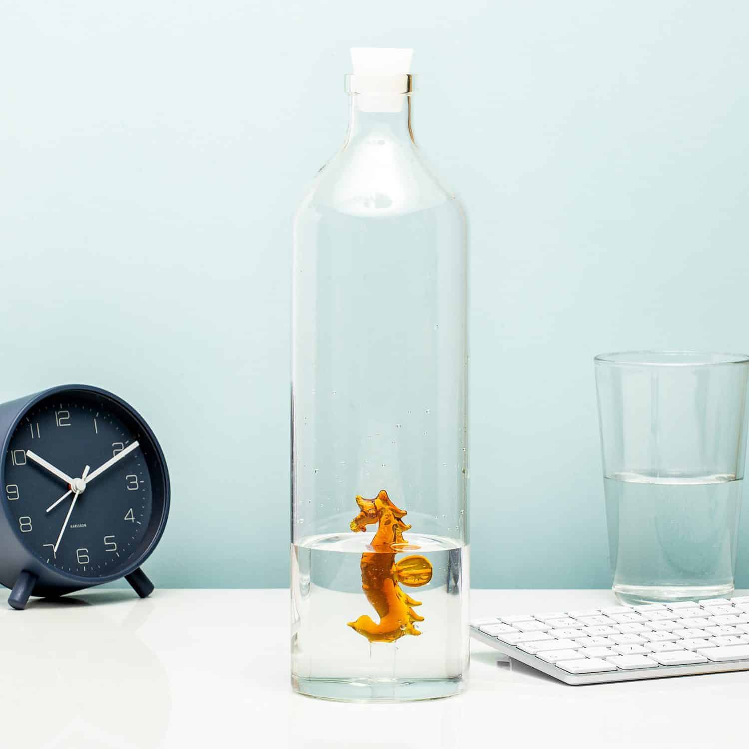 Wasserflasche - Seepferdchen