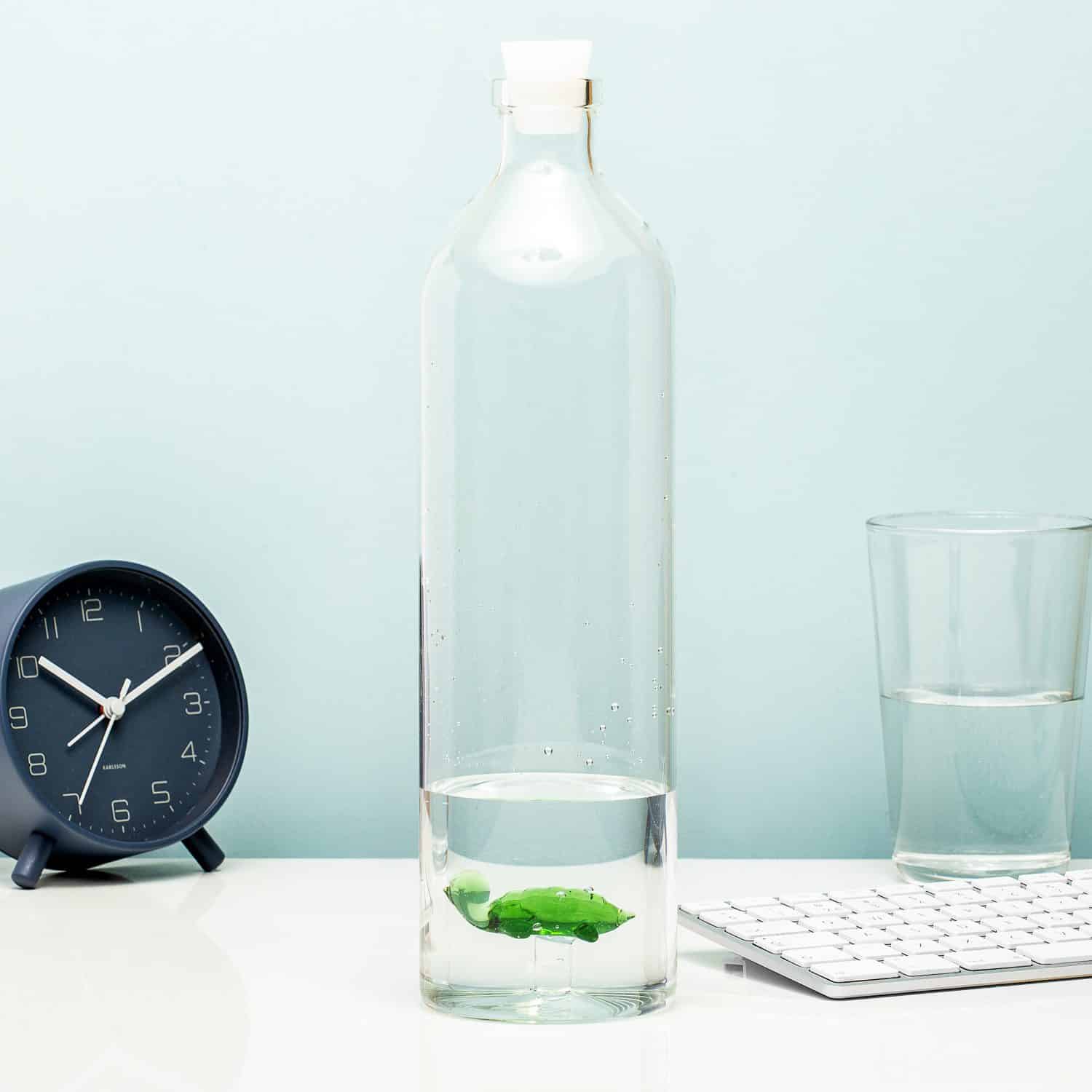 Wasserflasche - Meeresschildkröte