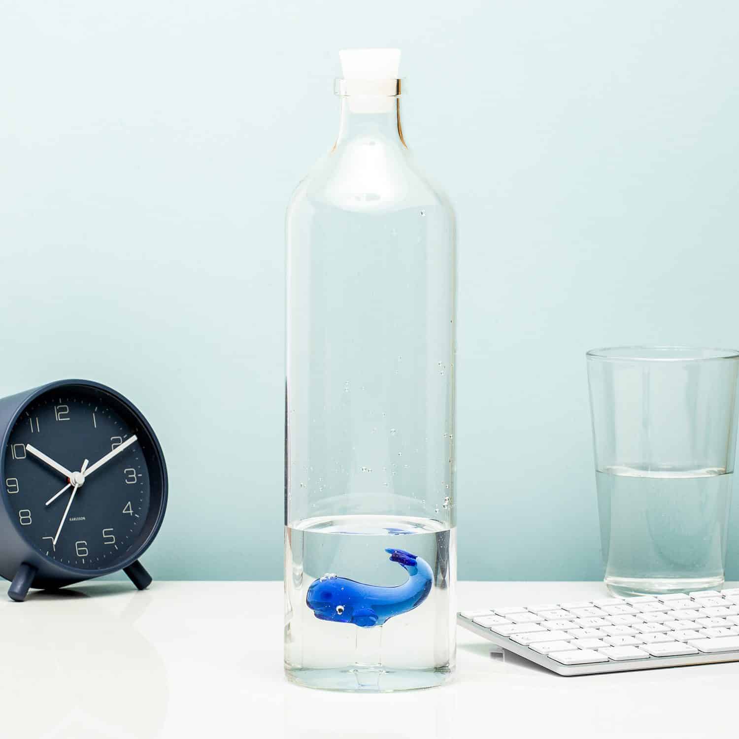 Wasserflasche - Blauwal