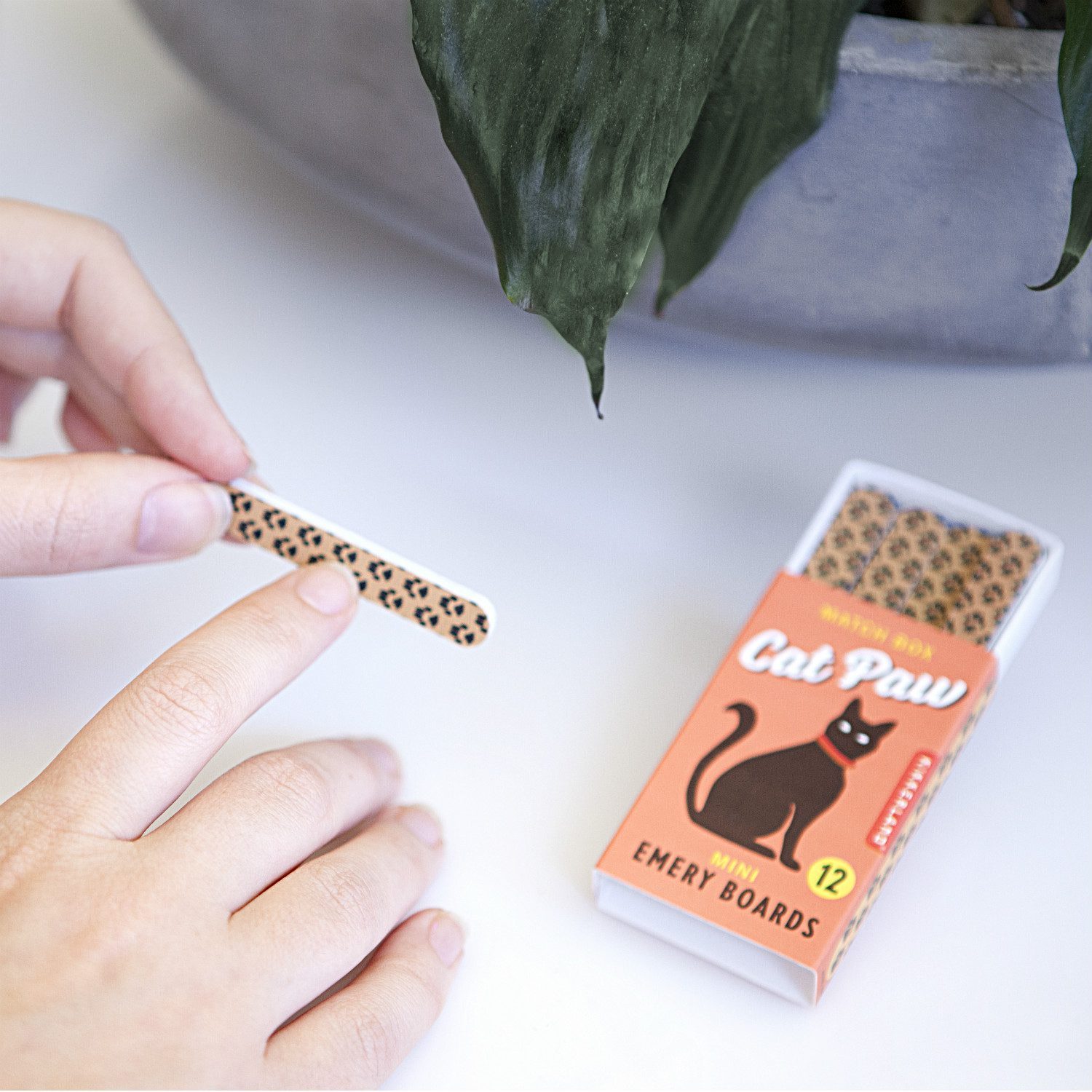 Katzen Nagelfeilen (Set von 12)