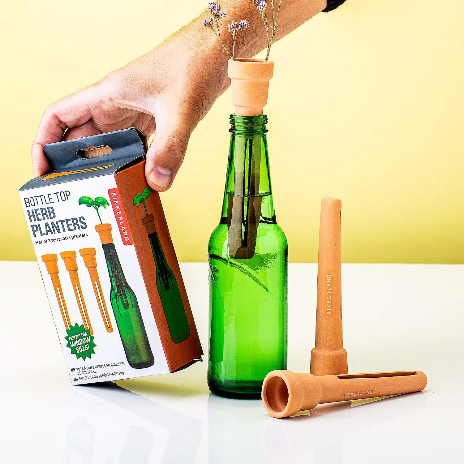 Flaschenkappen-Krรคuteranzรผchter (Set von 3)