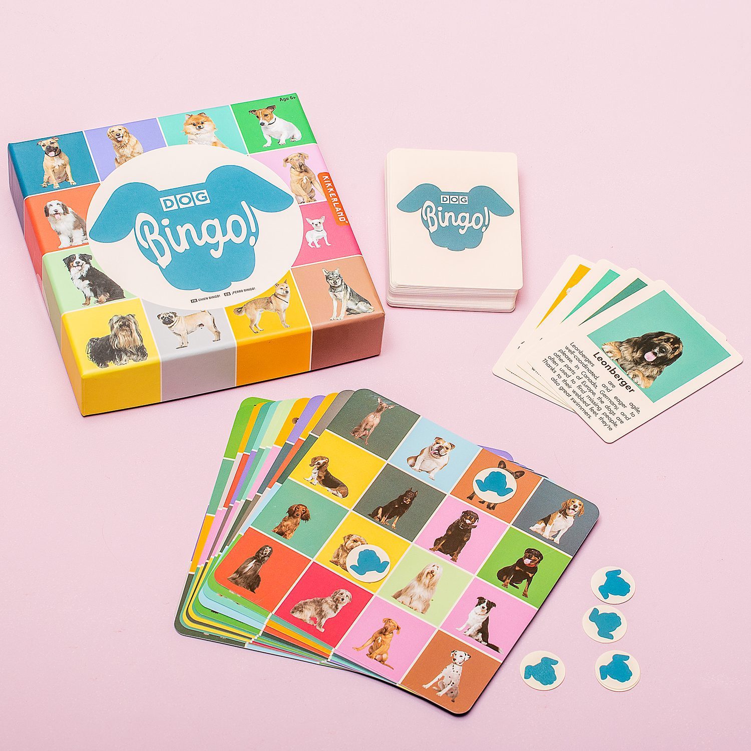 Haustier Bingo - Hund