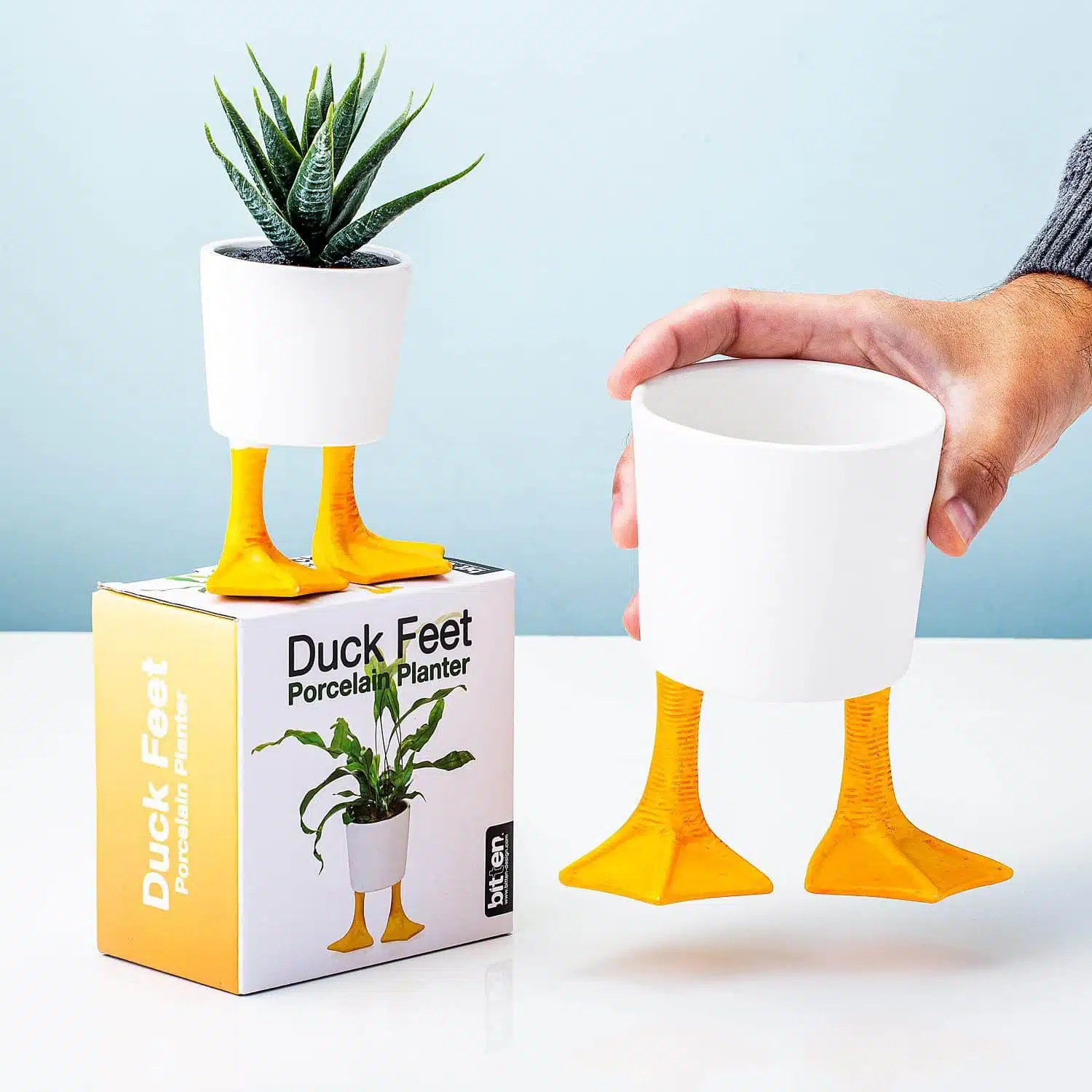 Blumentopf mit Entenfüßen