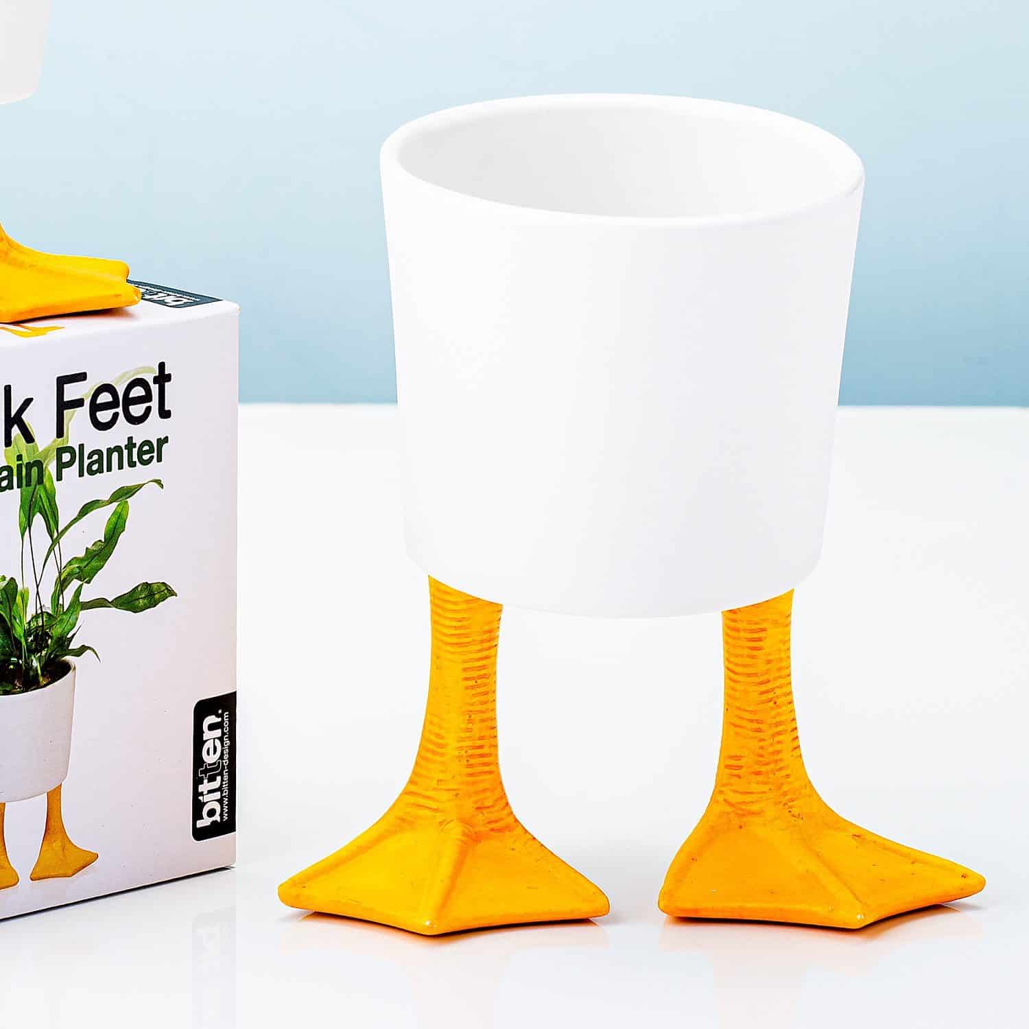 Blumentopf mit Entenfüßen