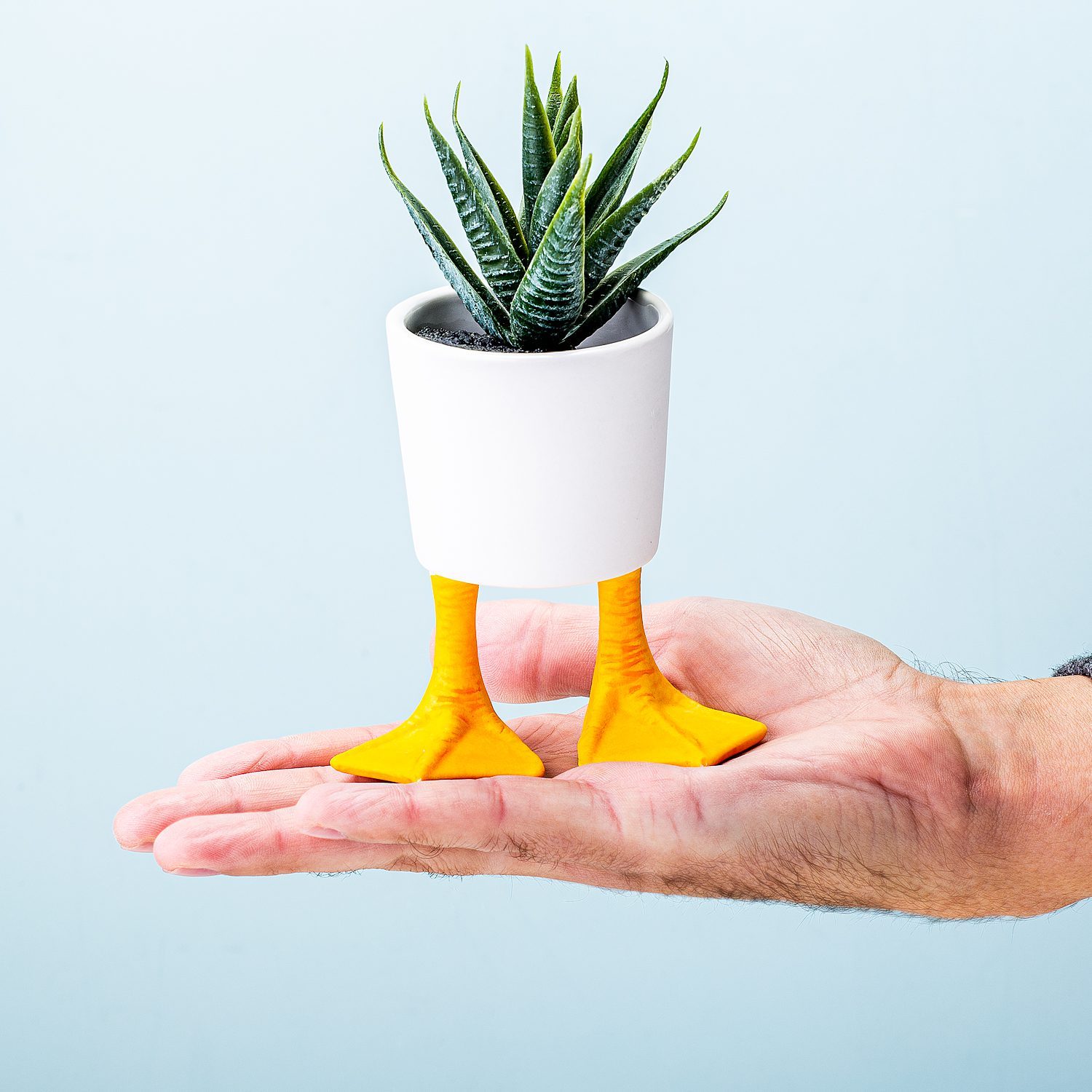 Blumentopf mit Entenfüßen - Klein