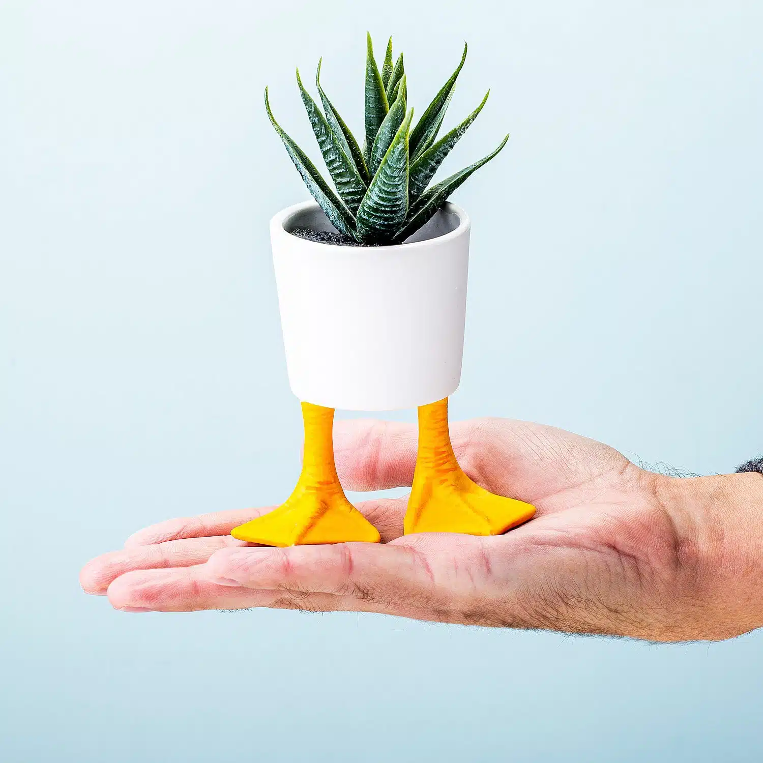 Blumentopf mit Entenfรผรen - Klein