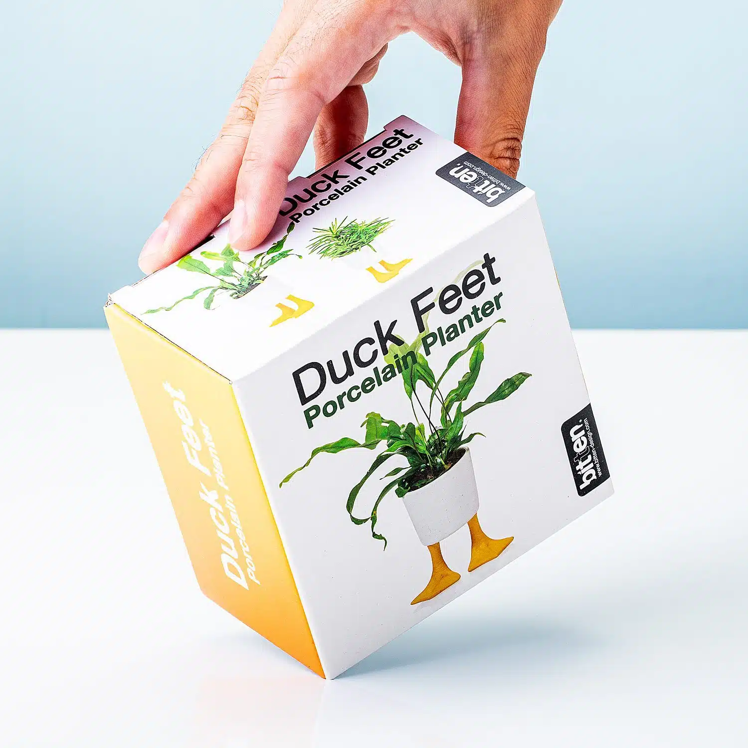 Blumentopf mit Entenfüßen