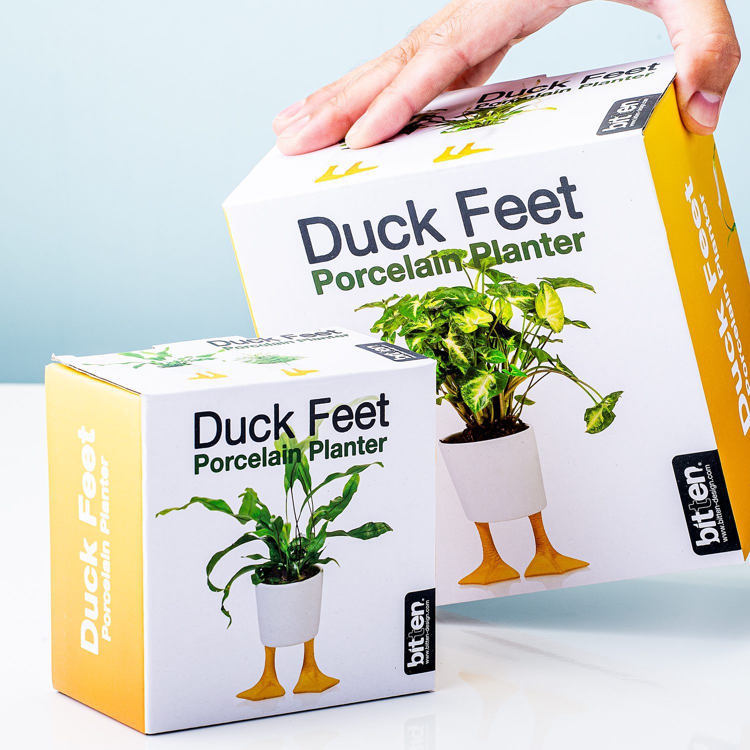 Blumentopf mit Entenfüßen