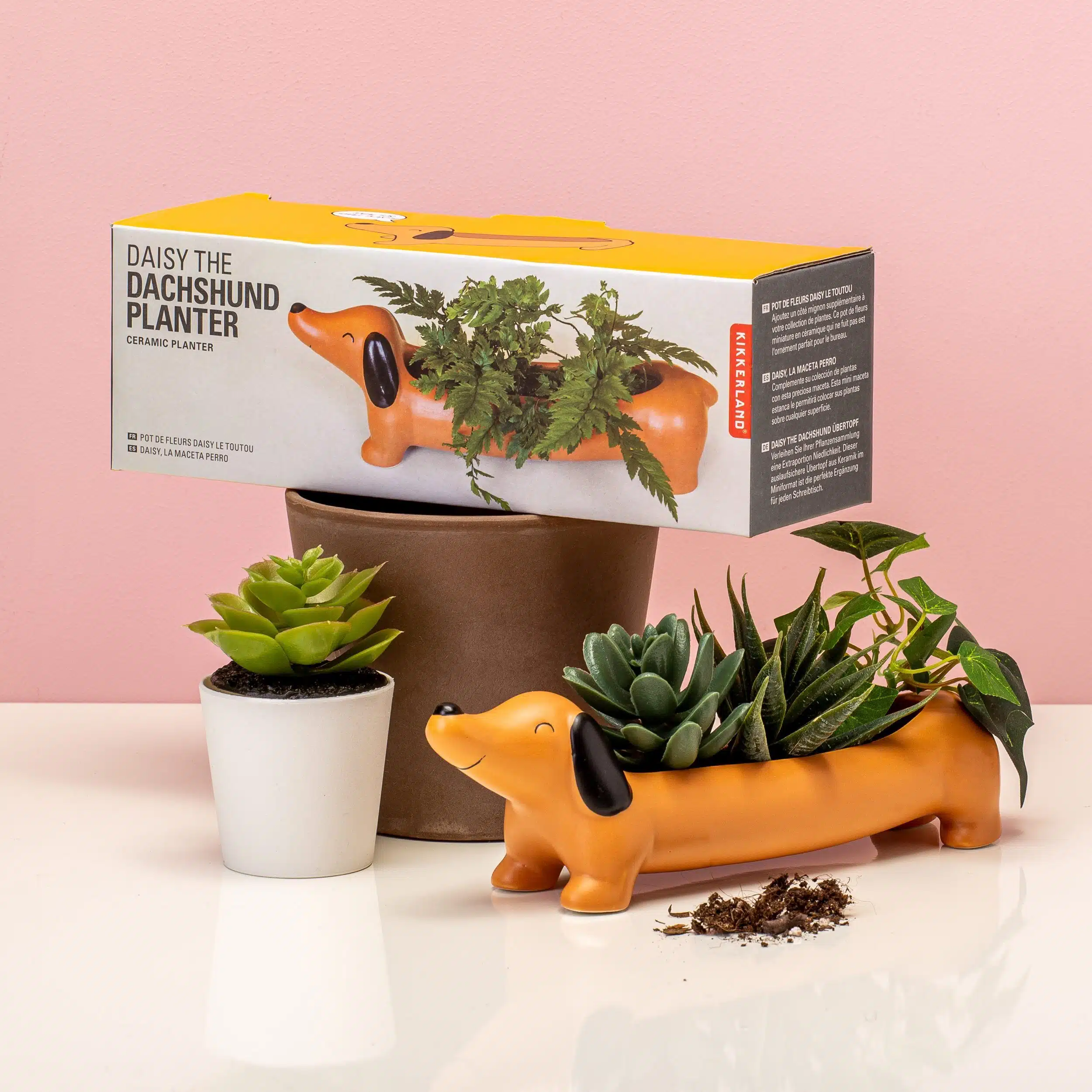 Haustier-Blumentopf - Dackel