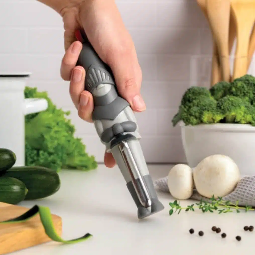 Ritter-Sparschรคler