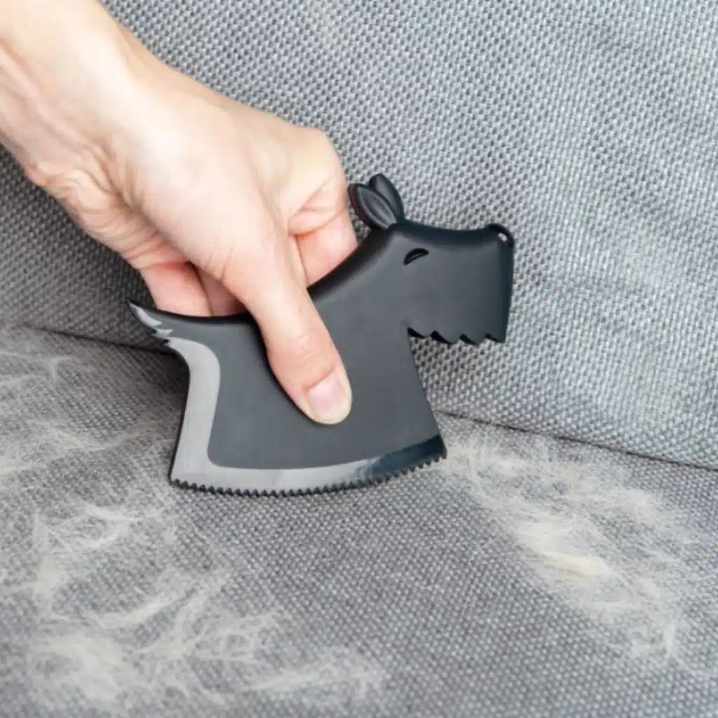 Scruffy Mรถbelbรผrste