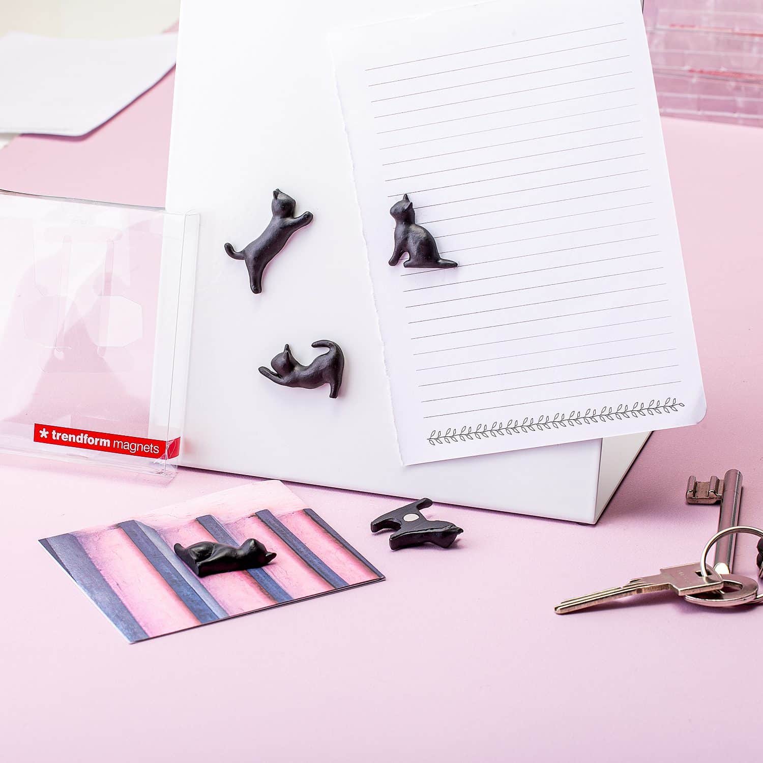 Schwarze Katzenmagnete (Set aus 5)