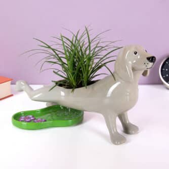 Pinkelnder Hund Blumentopf