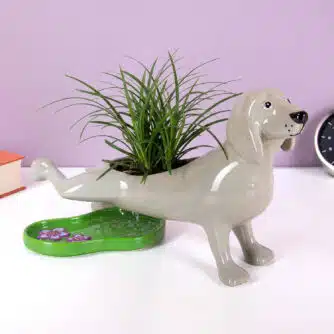 Pinkelnder Hund Blumentopf