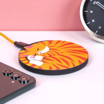 Schlafende Katze Ladegerät