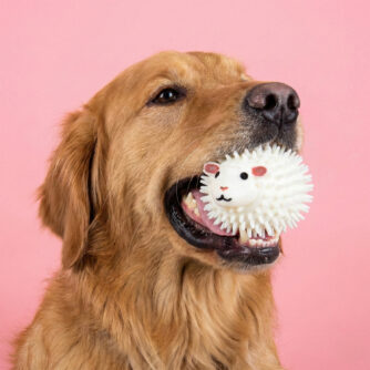 Schafball mit Duft für Hunde