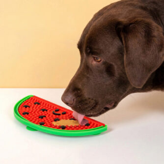 Wassermelonen Leckmatte für Hunde