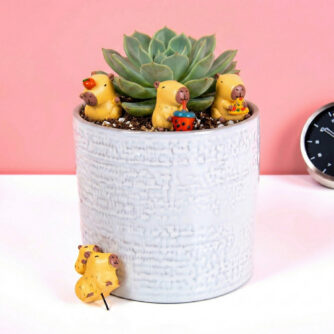 Bloempot capibara's (set van 4)