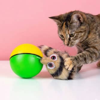 Interactieve wezelbal voor katten