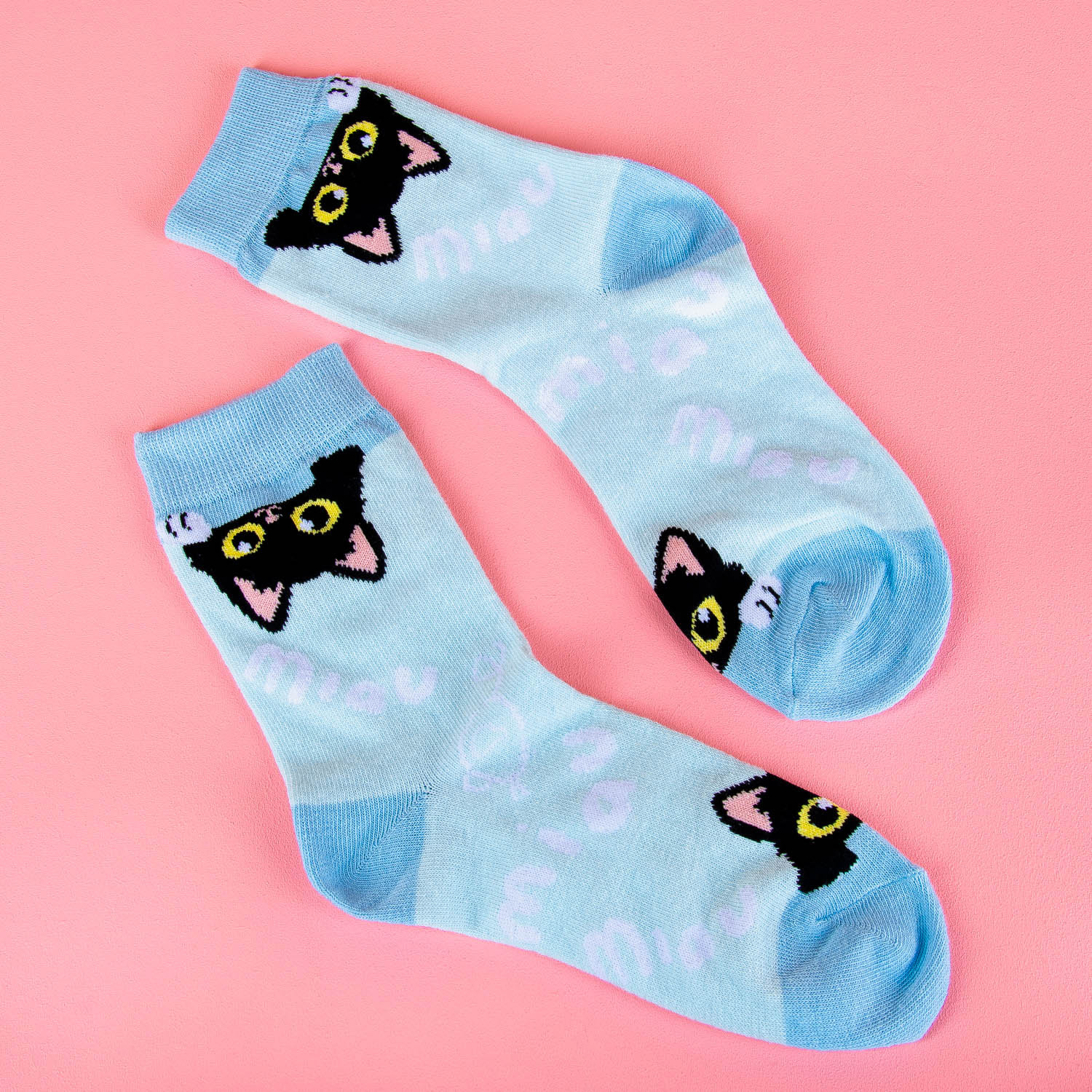 Socks, Cat