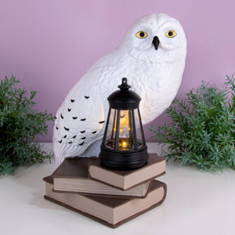 Harry Potter Hedwig tuinlamp